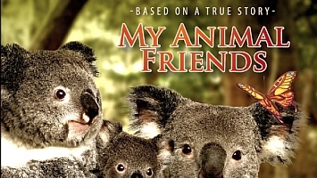 Mis Amigos Los Animales